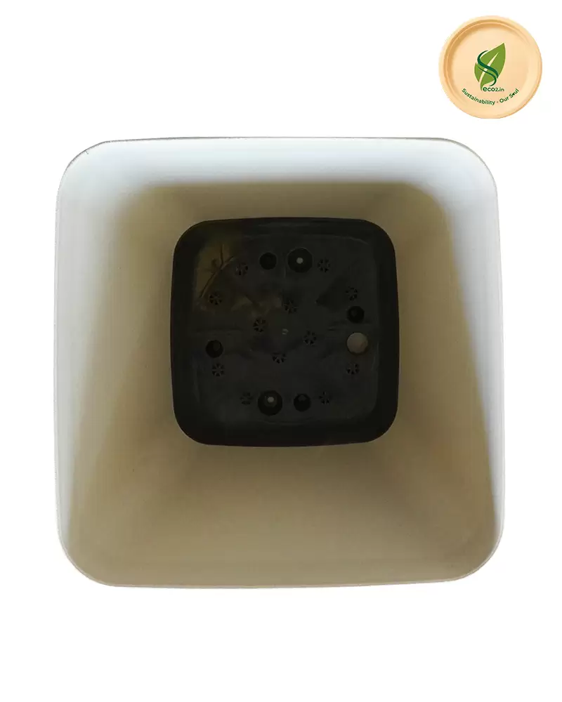 Eco Royal Daisy Planter - Image 6